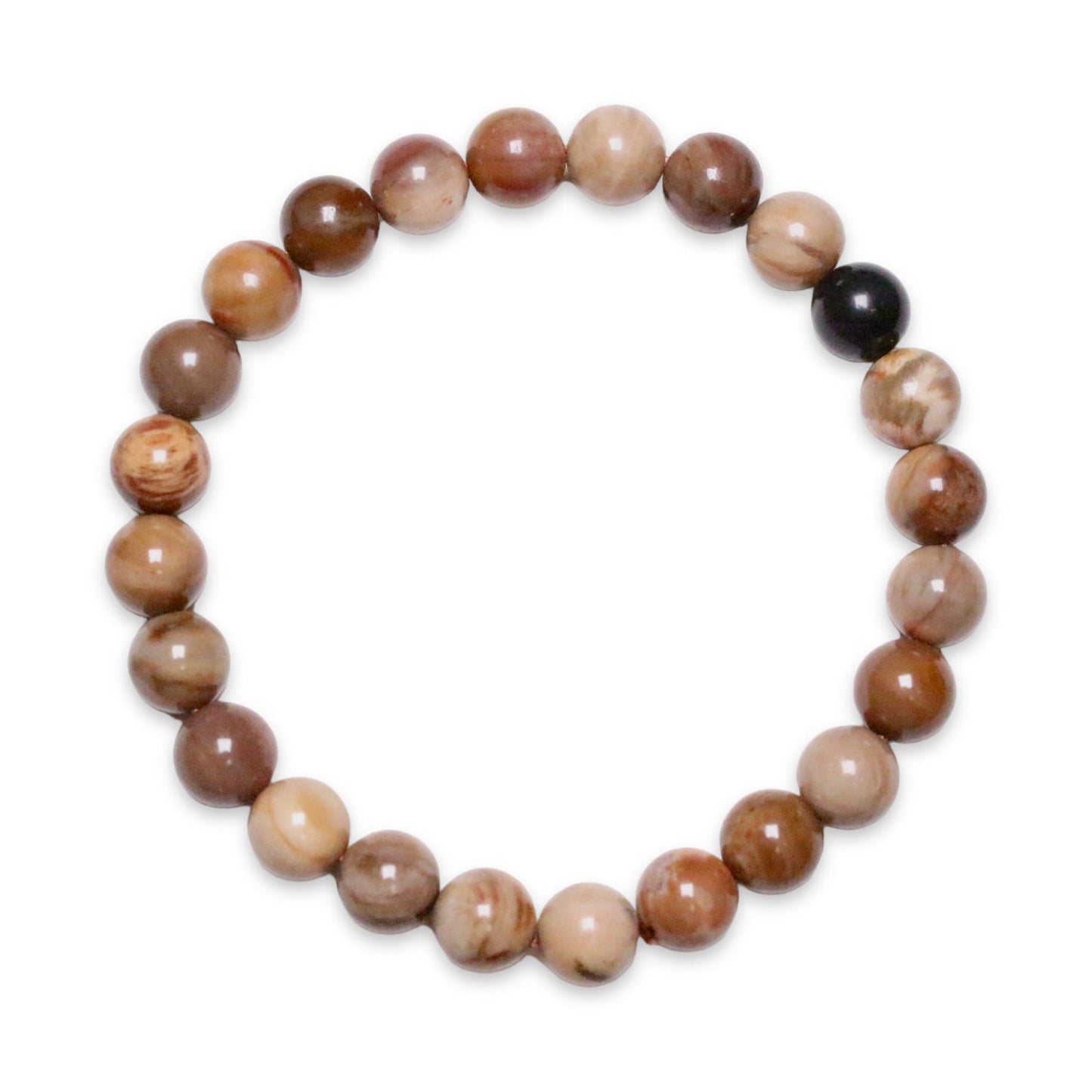 Bracelet Bois fossilisé A taille homme - Foliesbijoux