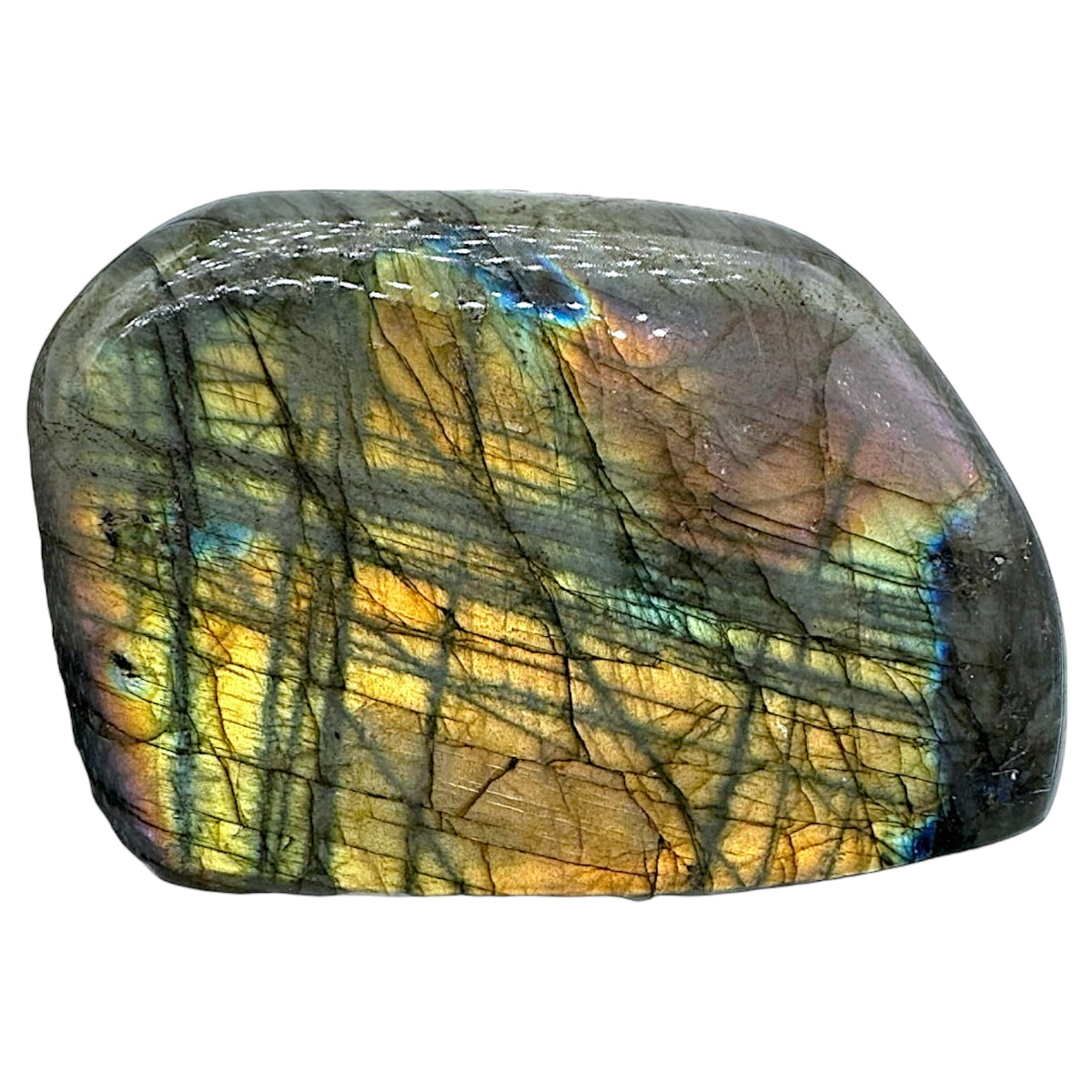 Labradorite forme libre AA+ 515g (Lot 11) - Foliesbijoux