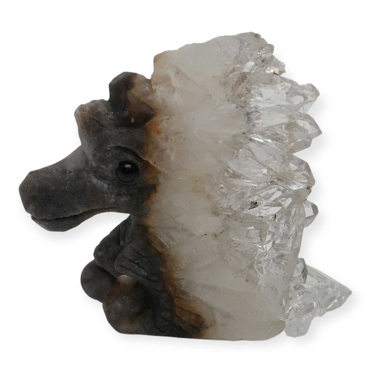 Figurine hippocampe en agate avec amas de cristal de roche 5x4 cm (chaque pièce est unique)