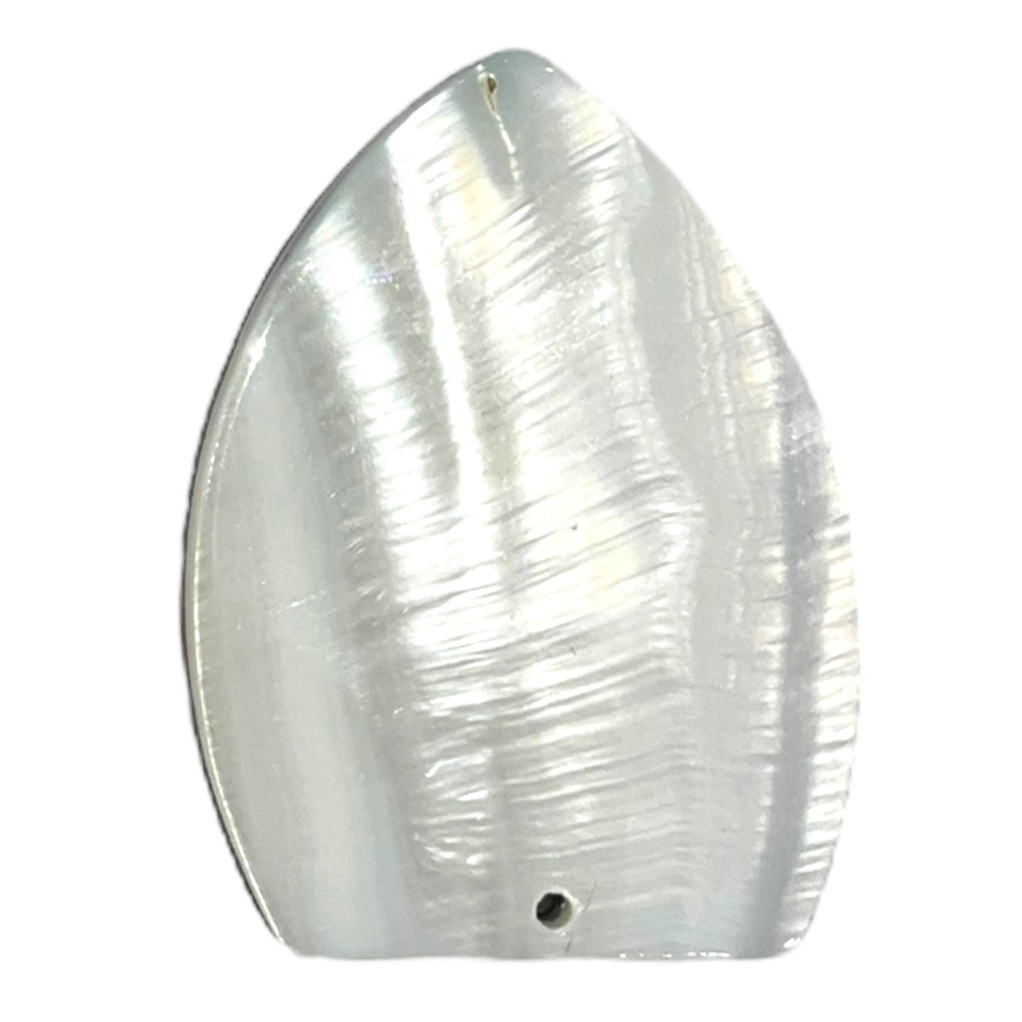 Pendentif coquille d’ormeau - Foliesbijoux