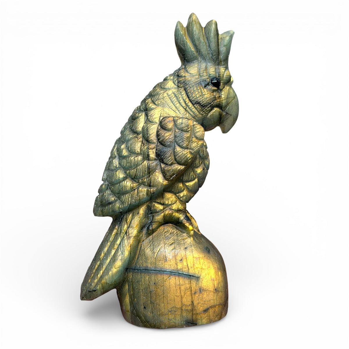 Figurine Perroquet en Labradorite AA+ 9x3.5 cm (modèle unique nº1)