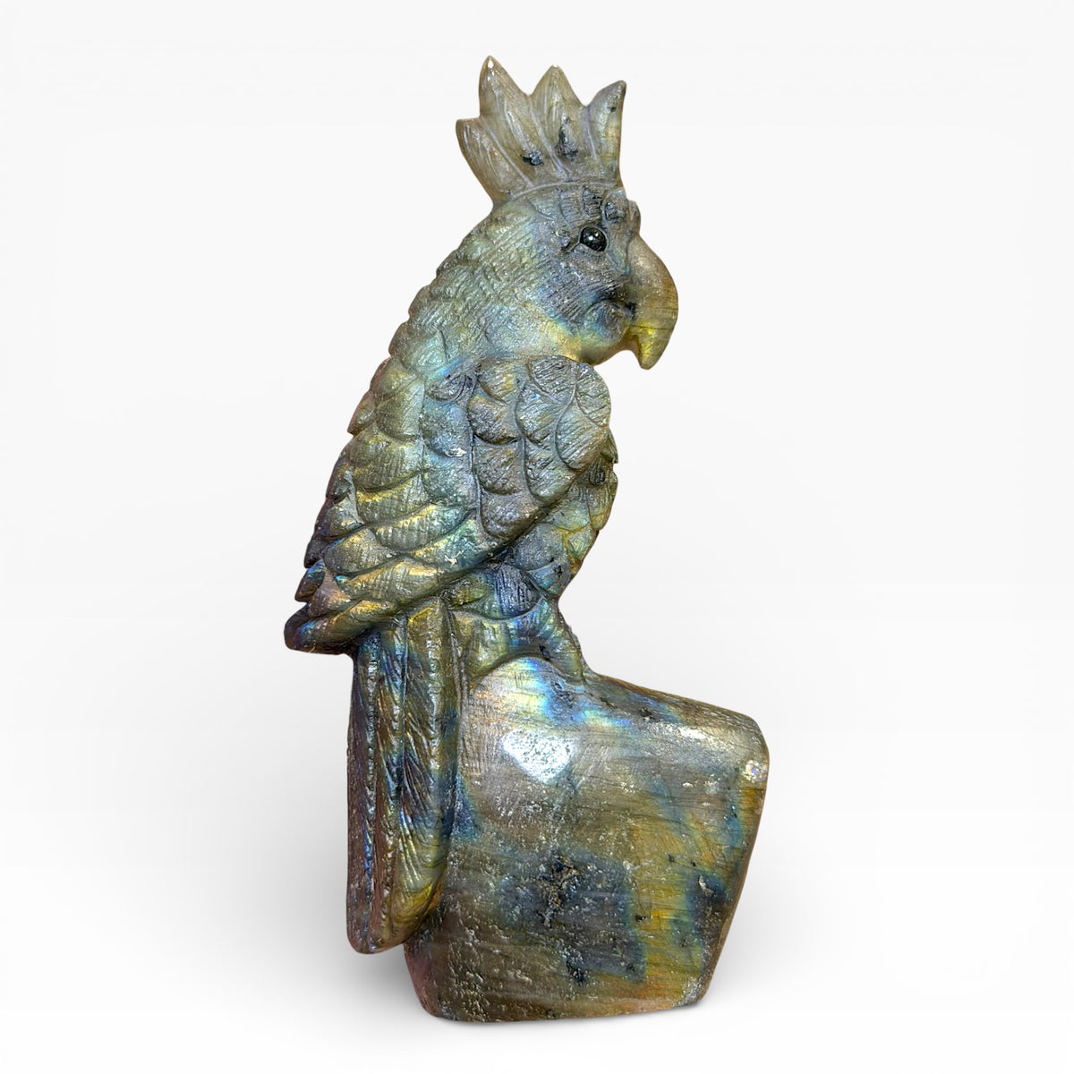Figurine Perroquet en Labradorite AA+ (deux côtés bleutées) 11x5.5 cm (modèle unique nº8)