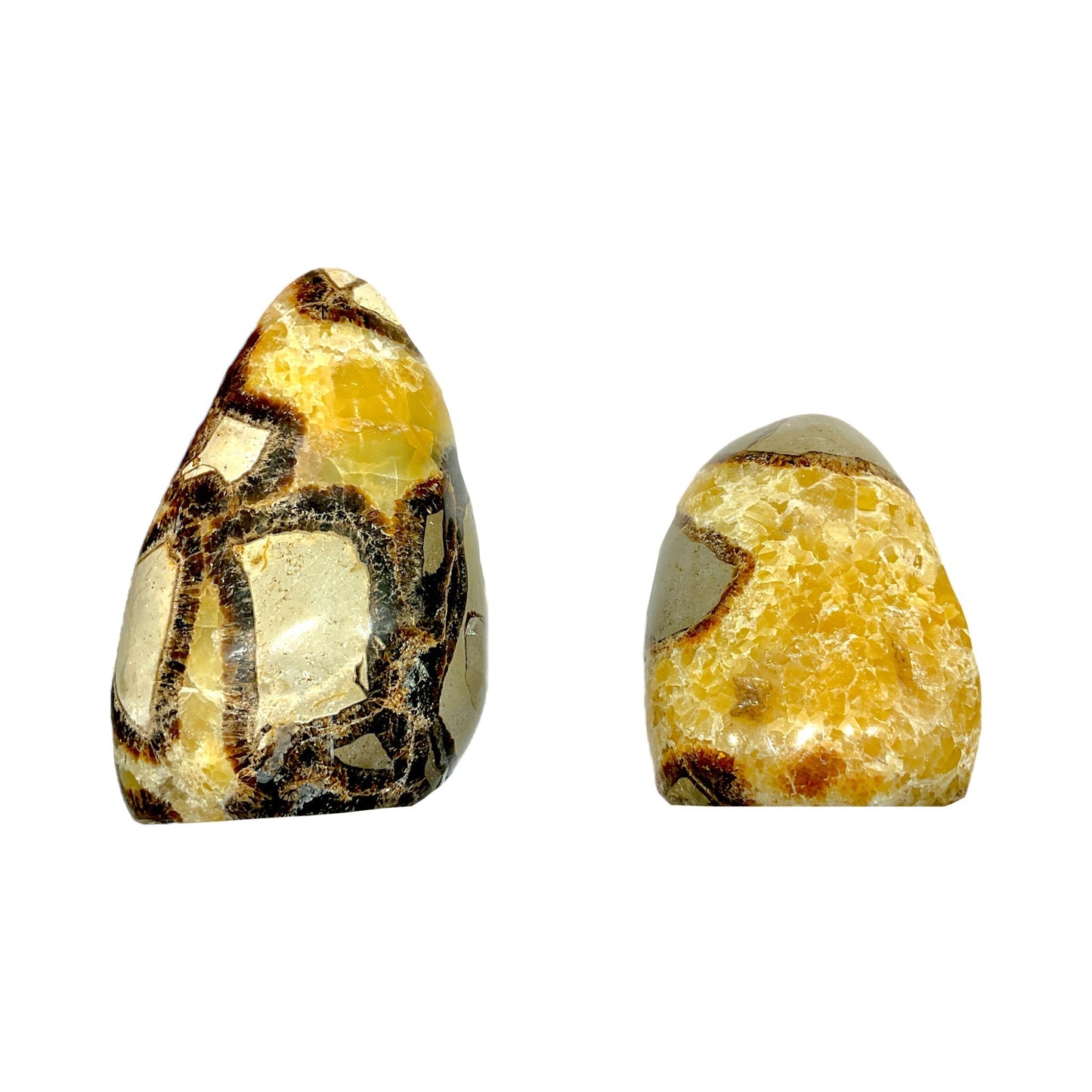 Séptaria forme libre - Foliesbijoux