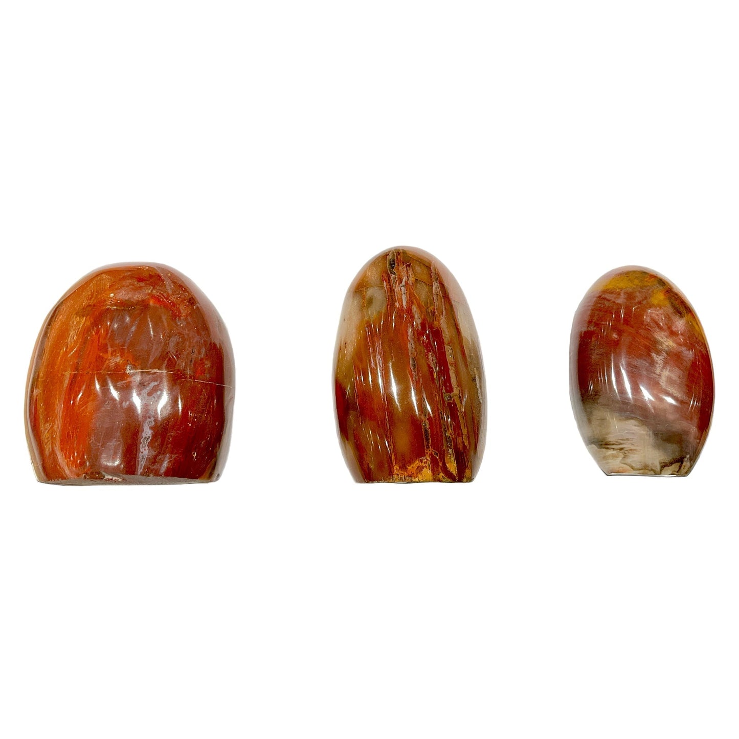 Bois fossilisé forme libre - Foliesbijoux