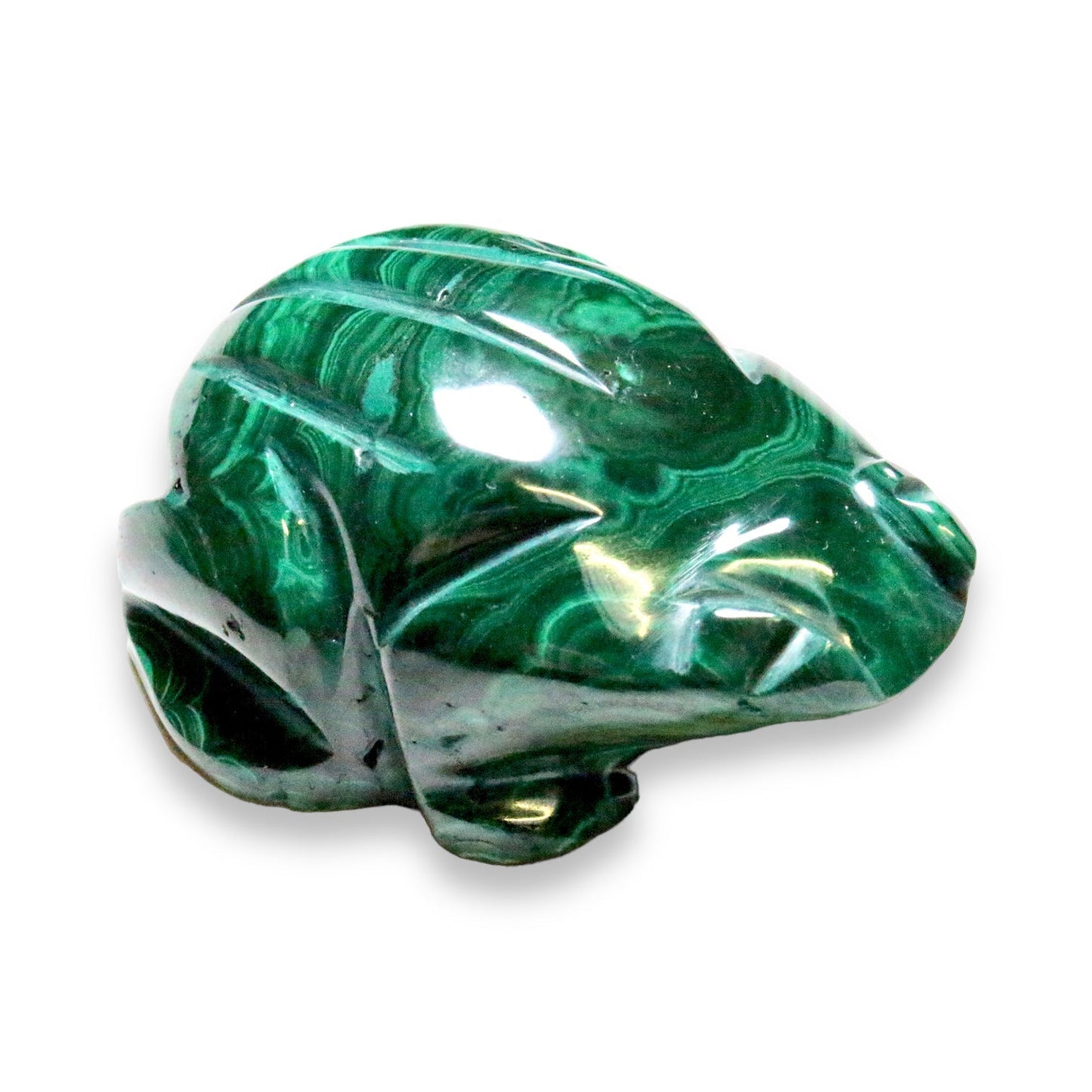 Grenouille en malachite du Congo - Foliesbijoux