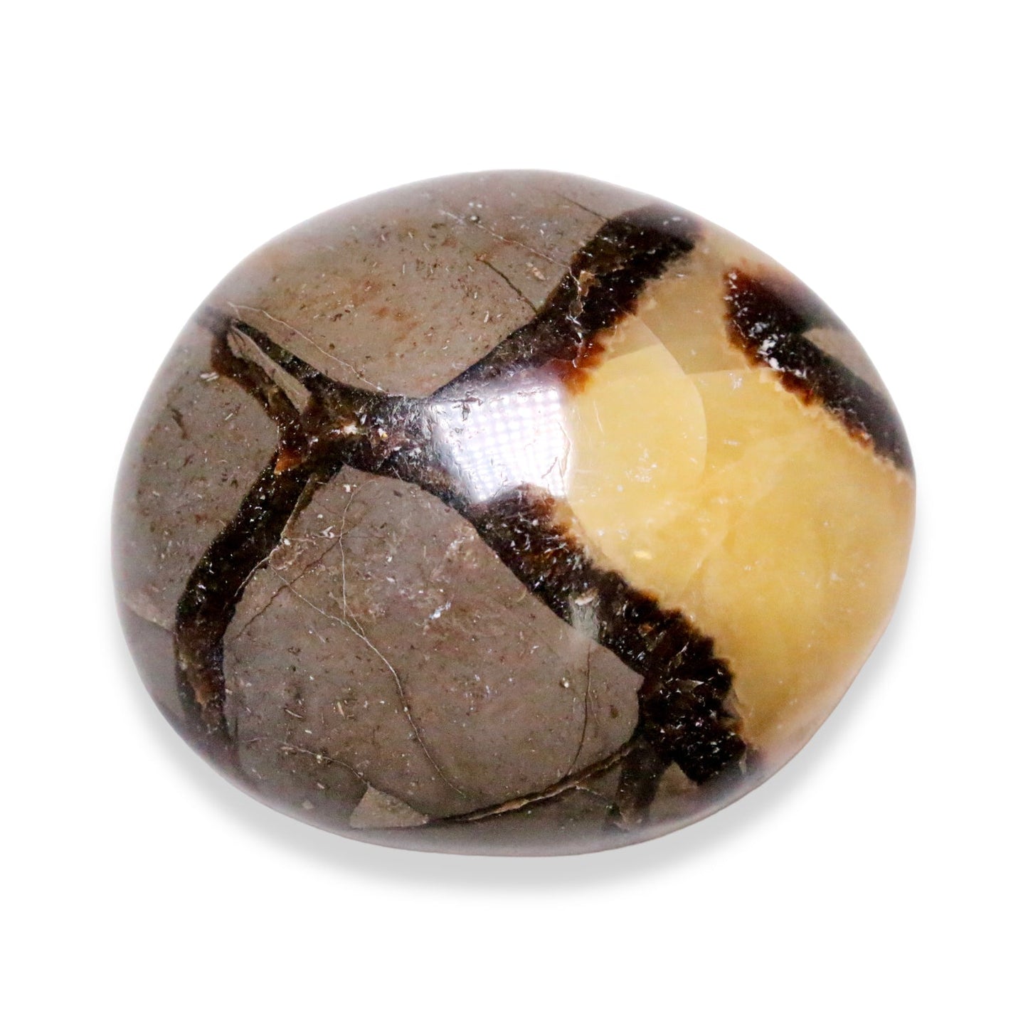 Galet Septaria - Foliesbijoux