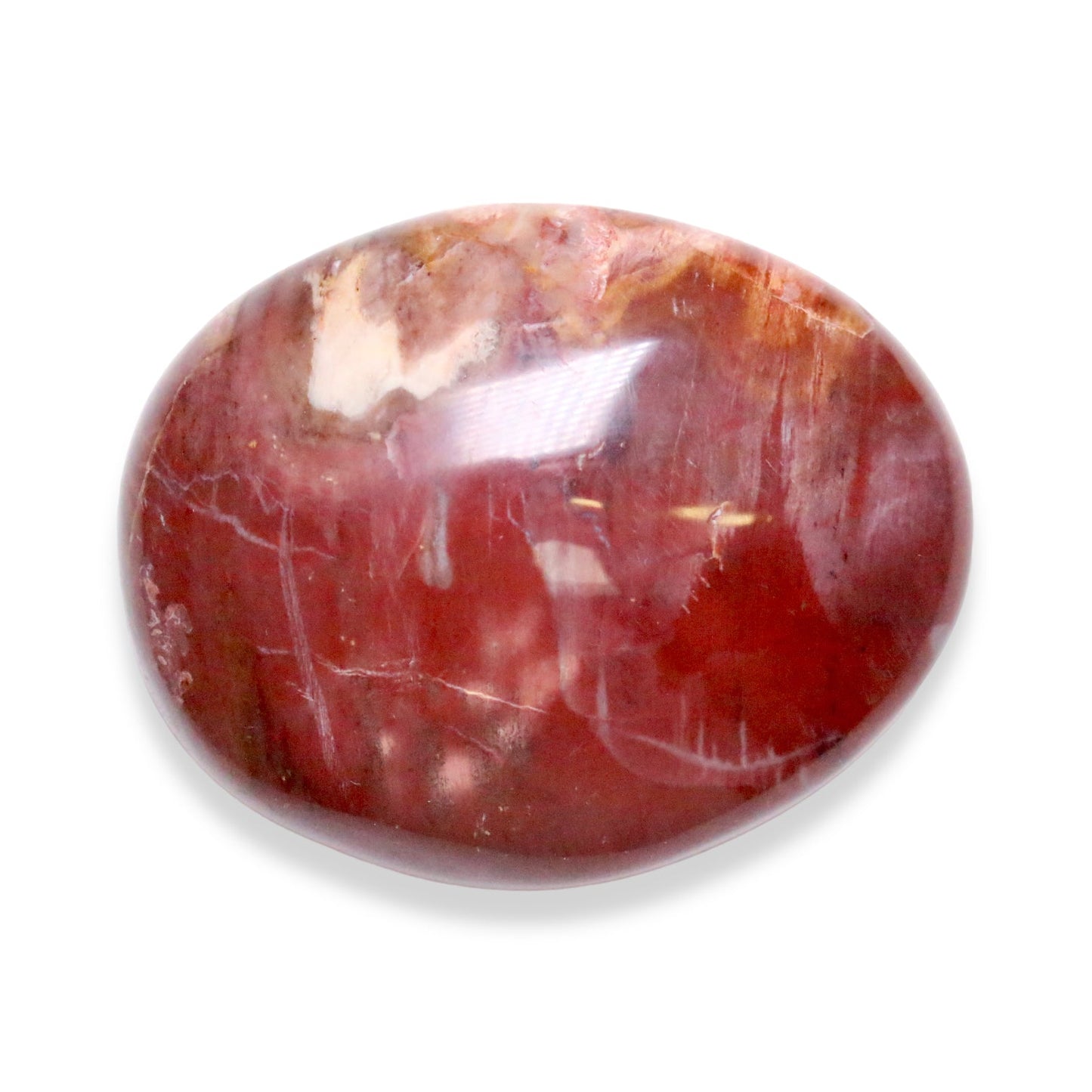 Galet Bois fossilisé - Foliesbijoux