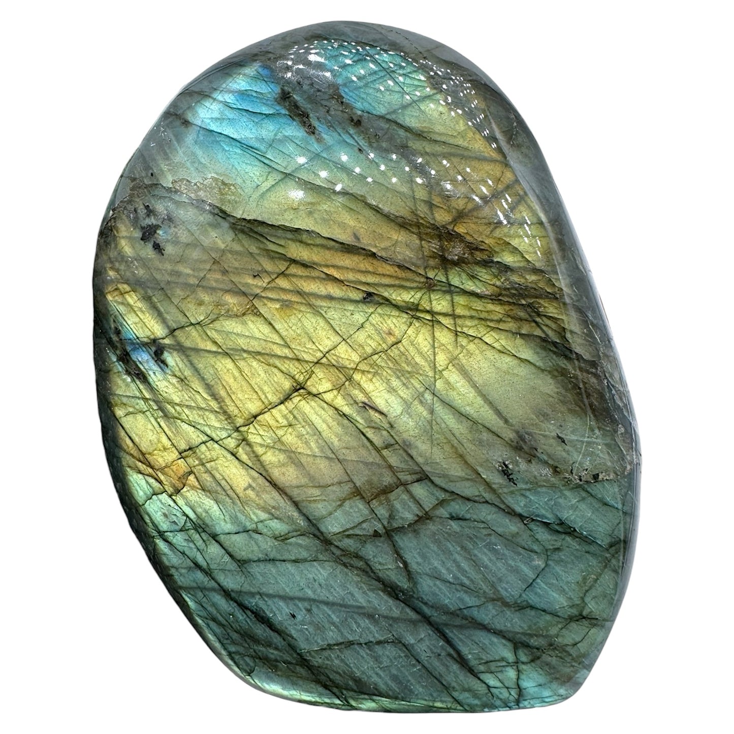 Labradorite flashy forme libre AA+ (Lot 61) 586g 8.5x3.5x10cm - Foliesbijoux