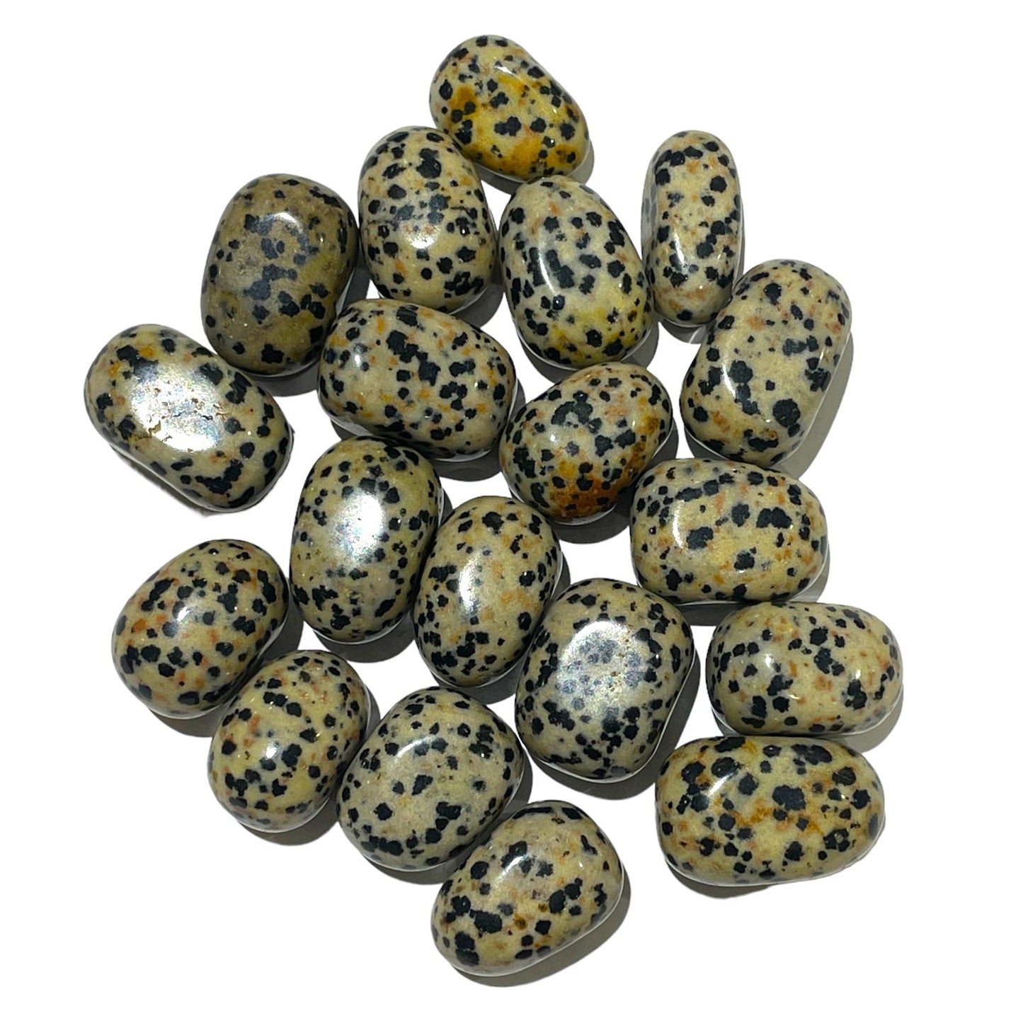 Pierre roulée jaspe dalmatien - Foliesbijoux