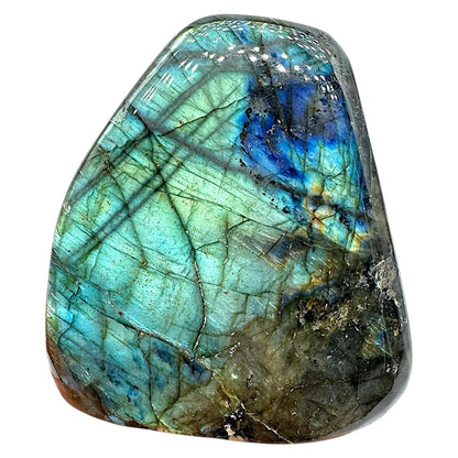 Labradorite forme libre AA+ 591g (Lot 22)