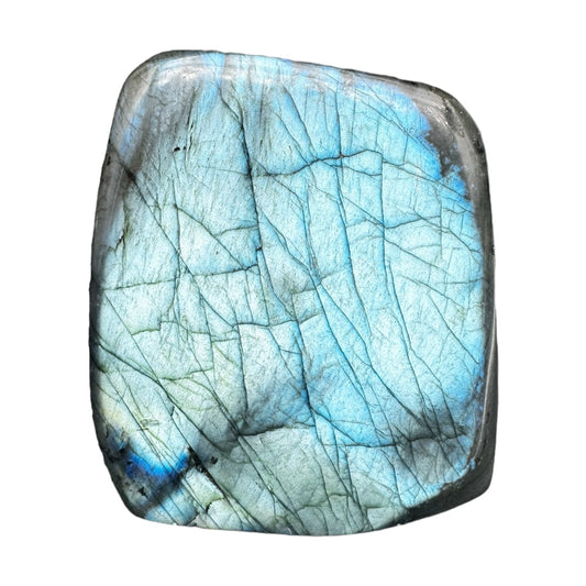 Labradorite flashy forme libre AAA 469g (Lot 19)