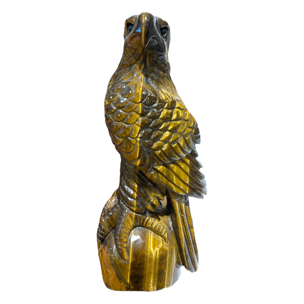 Statue faucon en Oeil de tigre modele unique