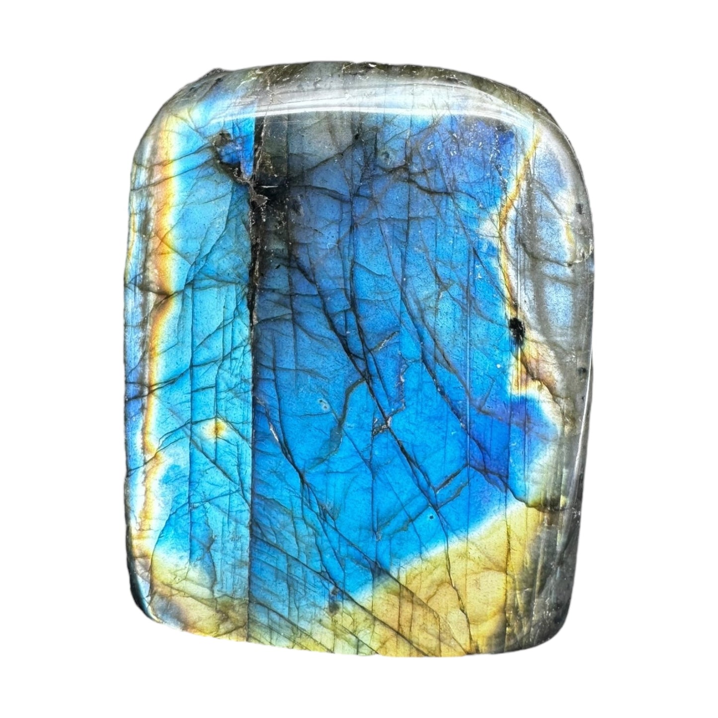 Labradorite flashy forme libre AAA 452g (Lot 18)