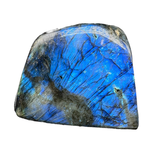 Labradorite flashy forme libre AAA 579g (Lot 2)