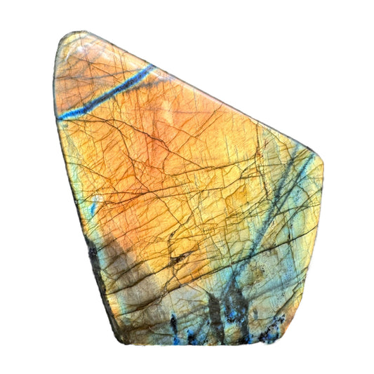 Labradorite forme libre AAA (Lot 40) 556g 12,5x9x2