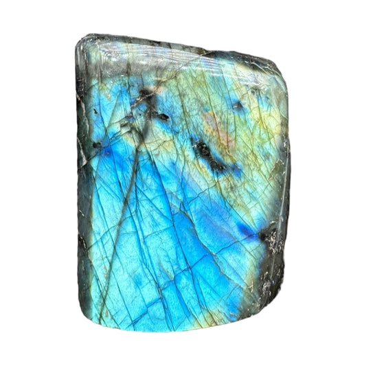 Labradorite flashy forme libre AAA 338g (Lot 6)