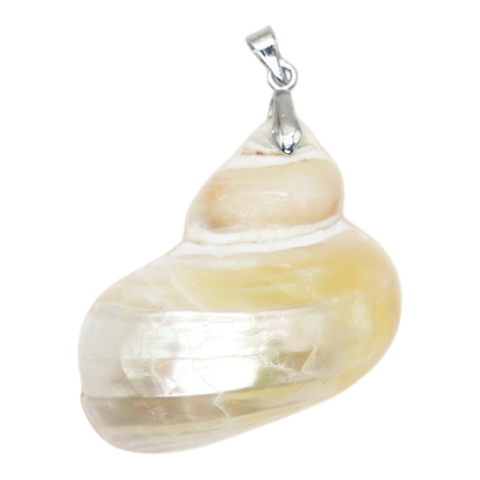 Pendentif forme coquillage en nacre 3 x 3.5 cm 