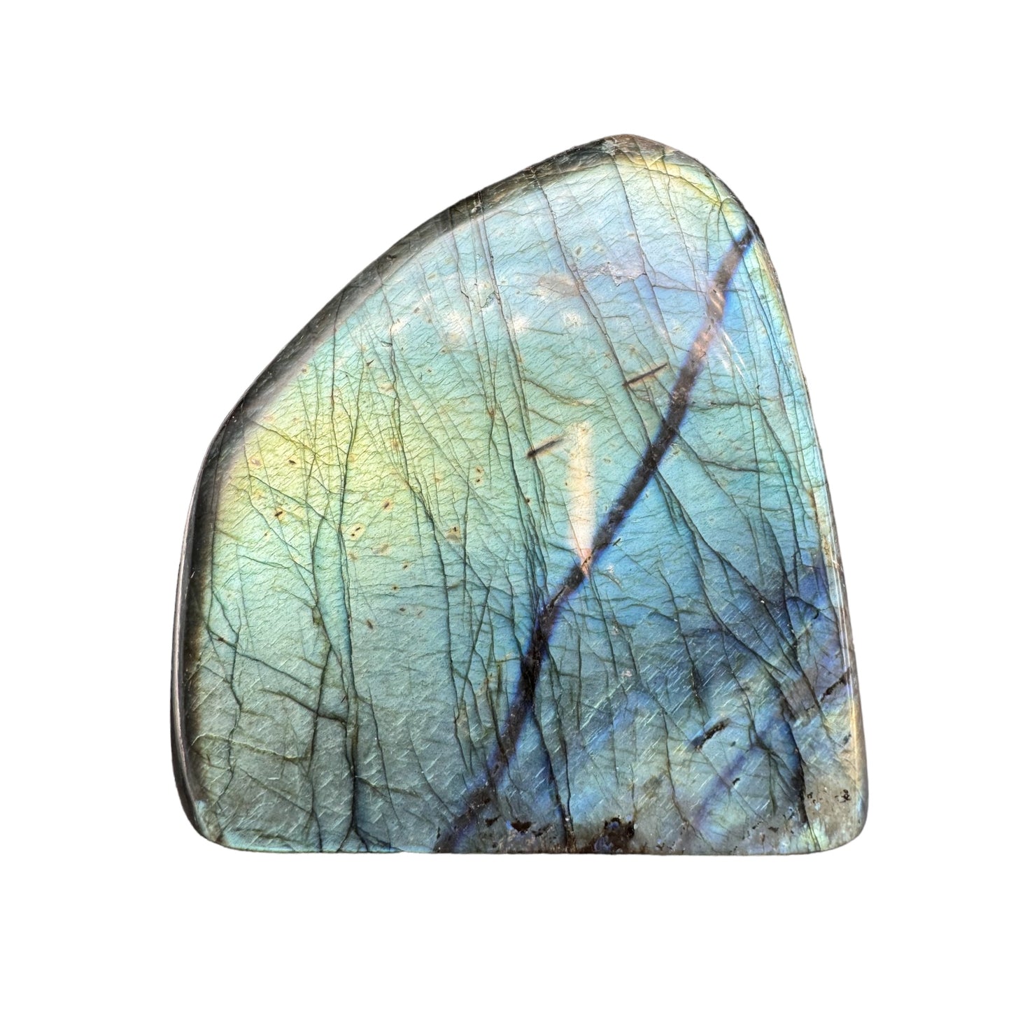 Labradorite forme libre AAA (Lot 42) 930g 10,5x10x4