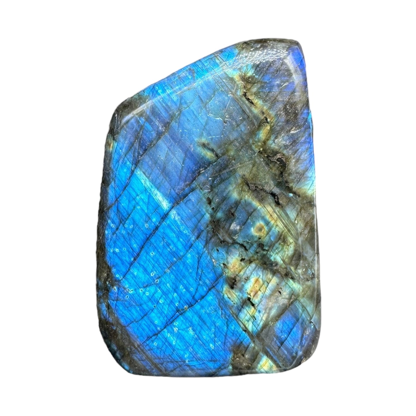 Labradorite flashy forme libre AAA 486g (Lot 5)