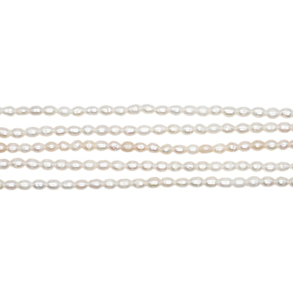 Fil de perle d’eau douce 3-4mm [17]