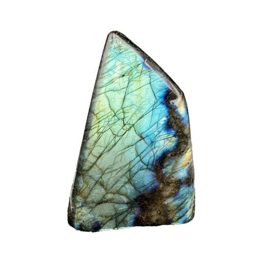 Labradorite forme libre AAA (Lot 43) 518g 11,5x7,5x3