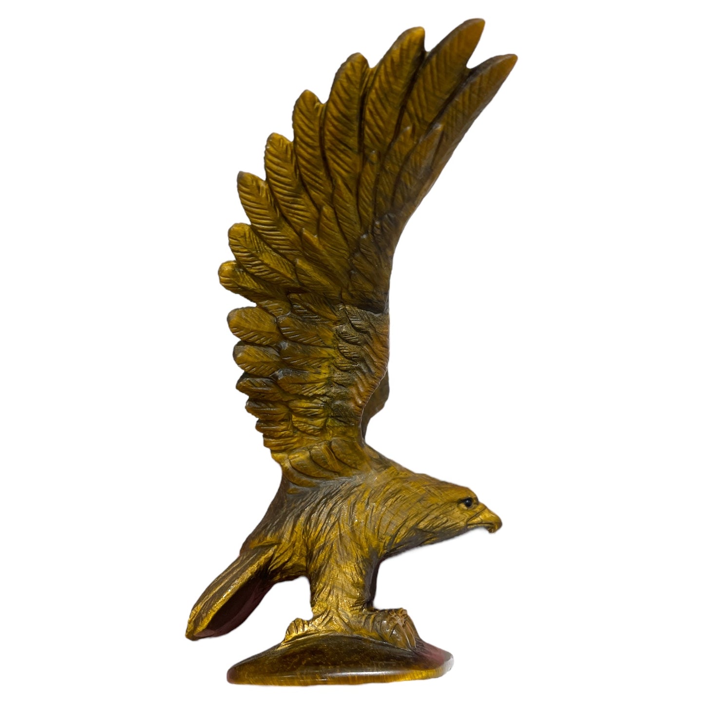 Statue Aigle en plein vol Oeil de tigre - modele unique