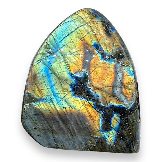 Labradorite forme libre AA+ 905g (Lot 2)