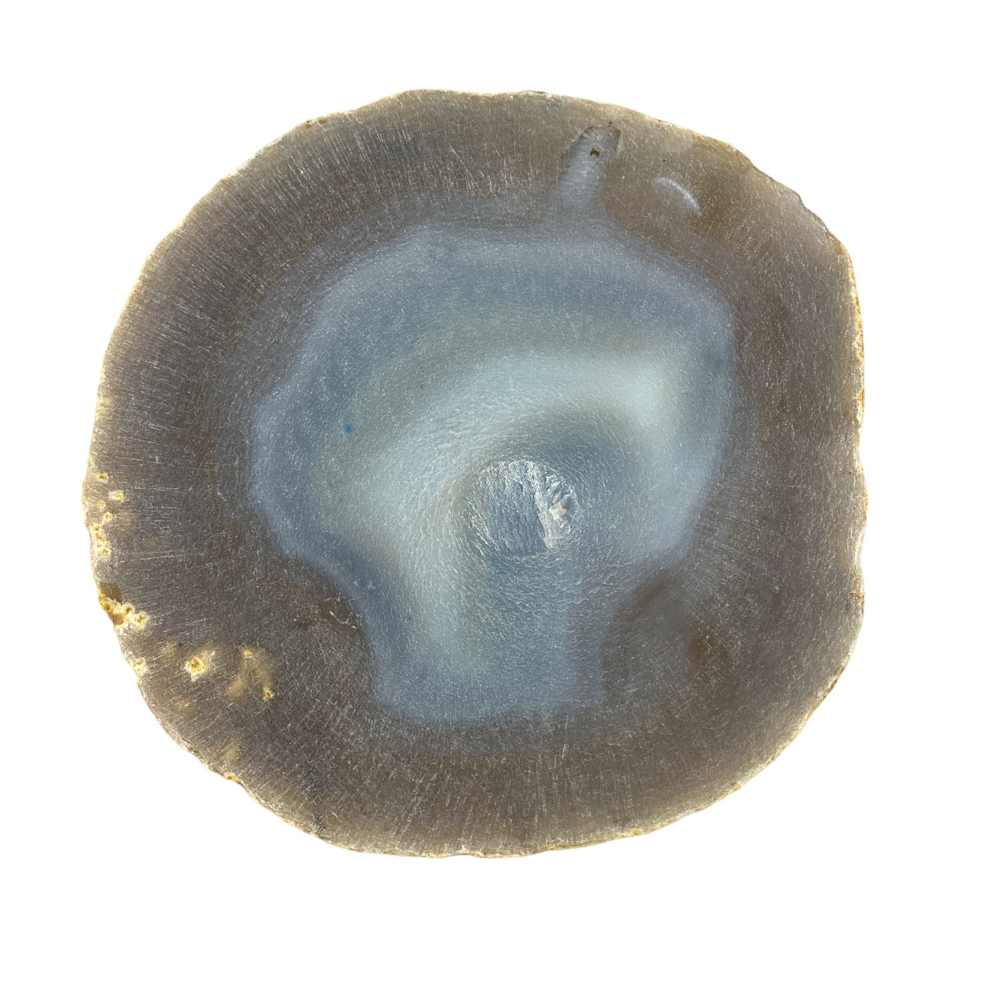 Plaque en Agate Botswana avec imprimé papillon