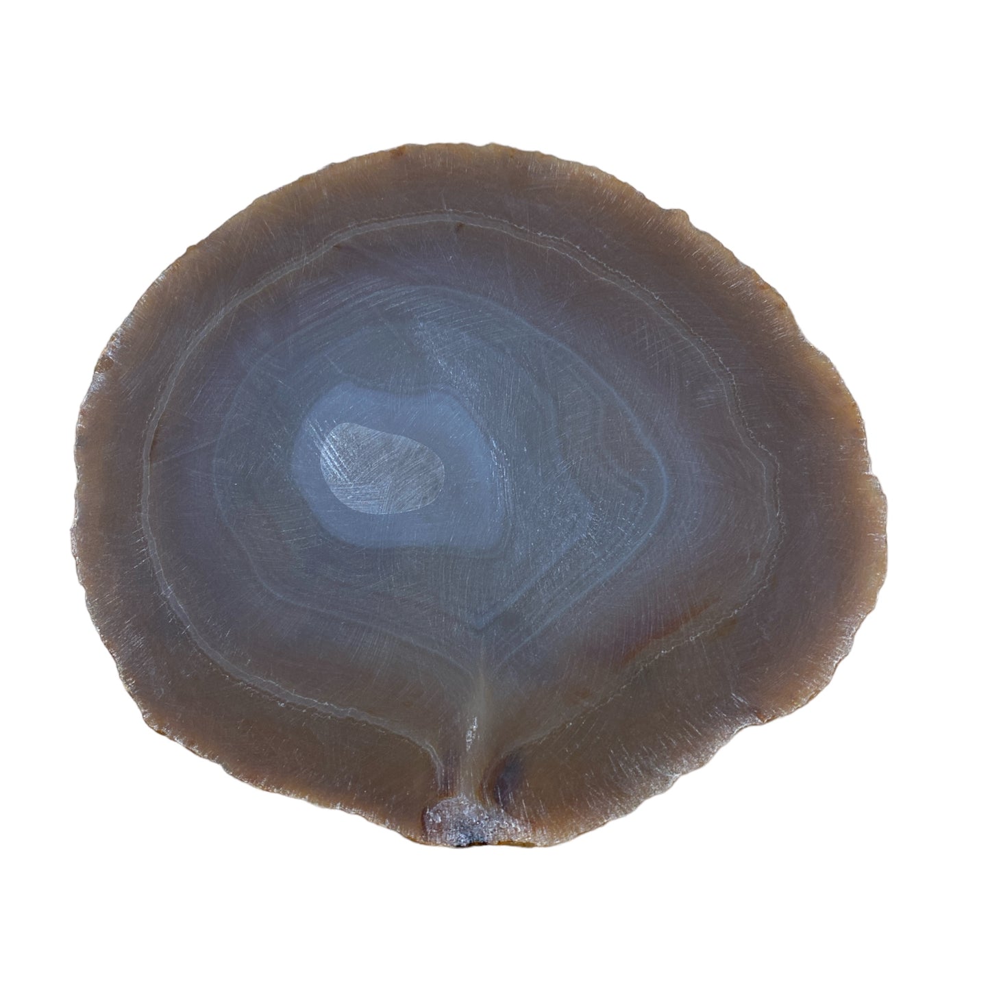 Selenite Life Tree plate