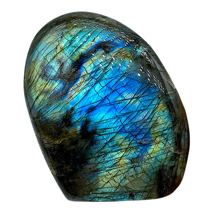 Labradorite forme libre AA+ 595g (Lot 25)