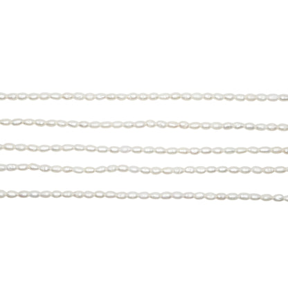 Fil de perle d’eau douce 2.5-3 mm [8]