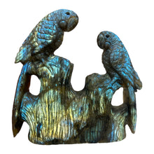 Charger l&#39;image dans la galerie, Statue Peroquet en Labradorite - modele unique
