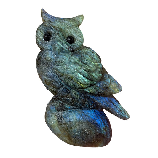 Figurine Hibou en Labradorite AA+ 7x4 cm (modèle unique nº1)