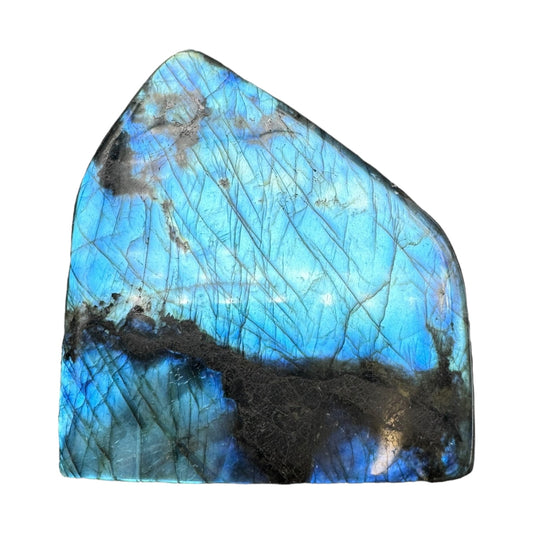 Labradorite flashy forme libre AAA 621g (Lot 8)