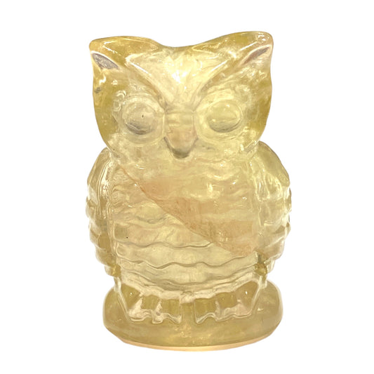 Hibou en fluorine jaune