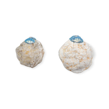 Deux demi géodes de cristal de roche avec clapet forme coquillage