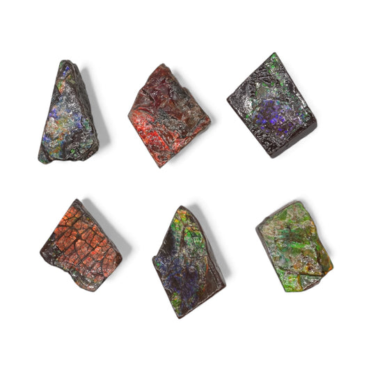 Pendentif Ammolite naturelle du Canada (3x4 cm environ)