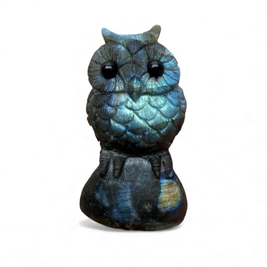 Figurine Hibou en Labradorite AA+ 6.5x4 cm (modèle unique nº5)