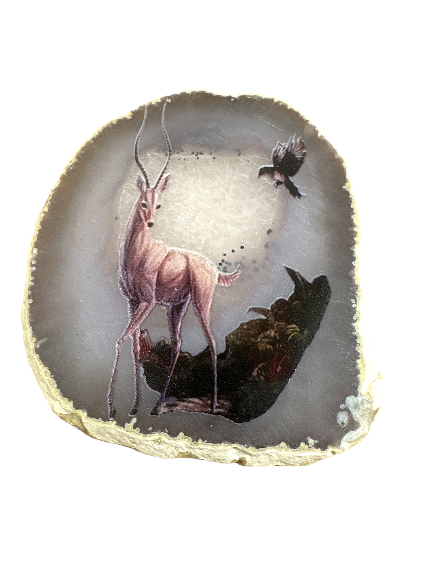 Plaque en Agate Botswana avec imprimé cerf