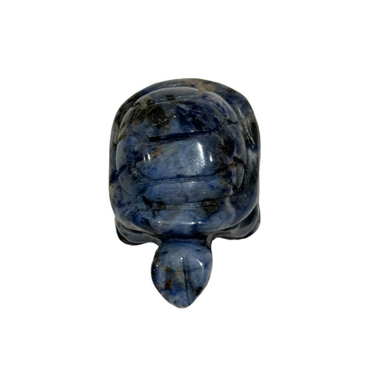 Tortue en Sodalite taille moyenne