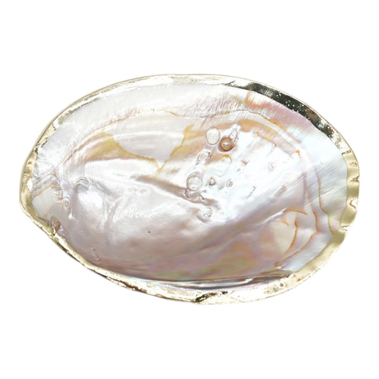 Coquille d'huitre perlière avec ornement doré ou argenté