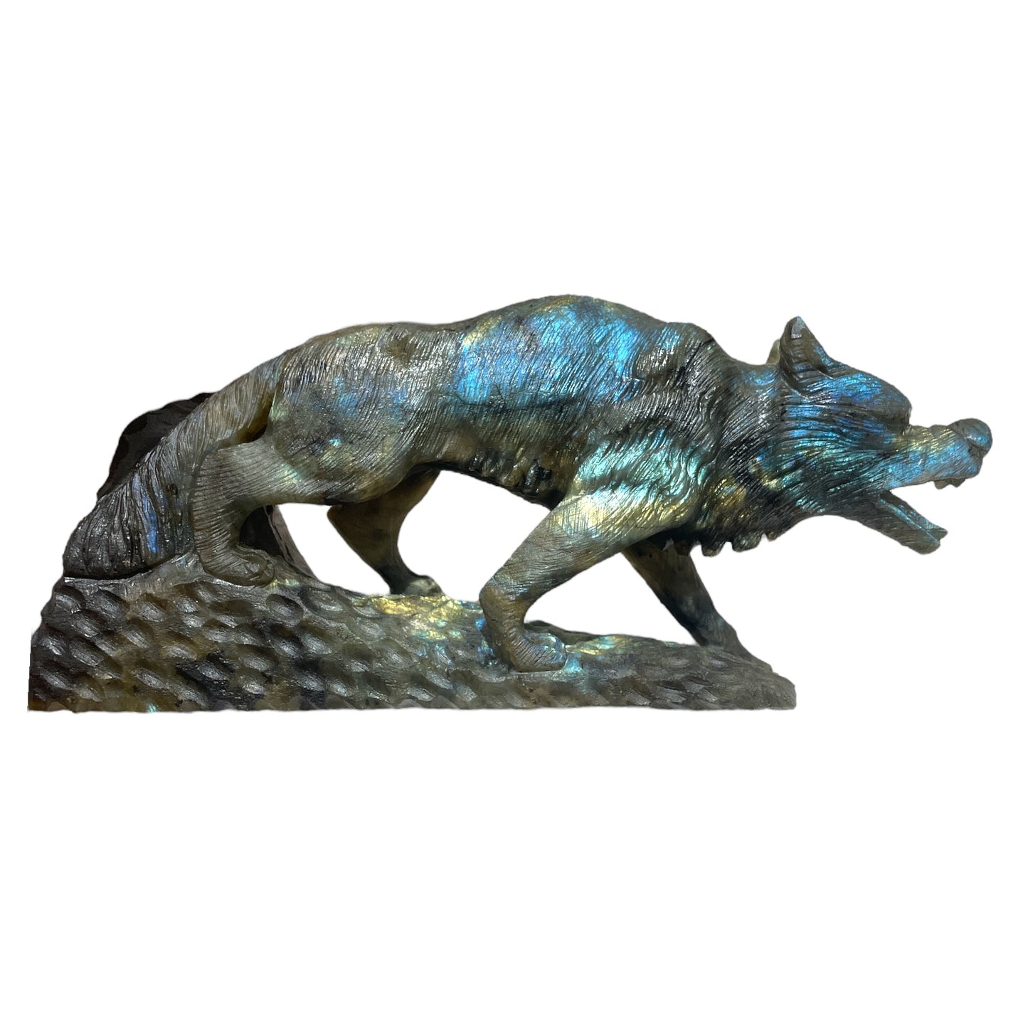 Statue Loup en Labradorite - modele unique