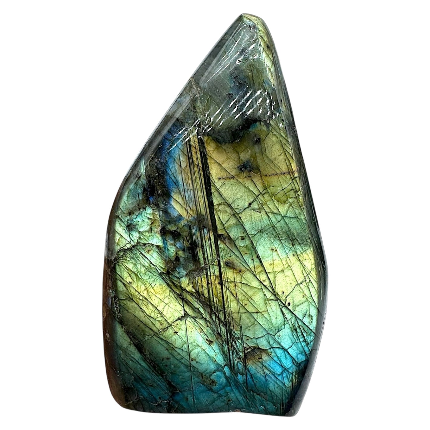 Labradorite forme libre AA+ 647g (Lot 23)