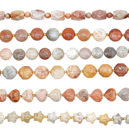 Fil de perles Corail fossilisé forme libre (6 formes disponible)