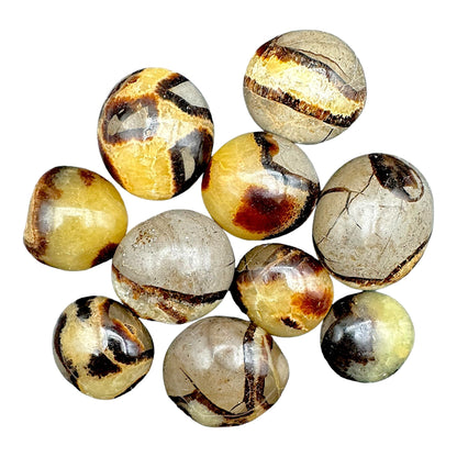 Pierre roulée en septaria - Foliesbijoux