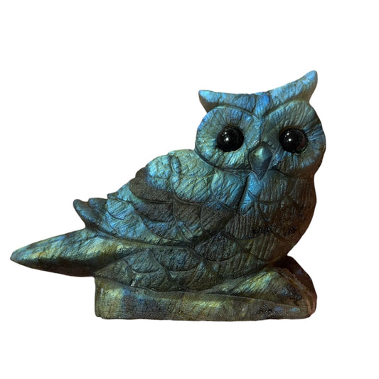 Figurine Hibou en Labradorite AA+ 8.5x5 cm (modèle unique nº4)