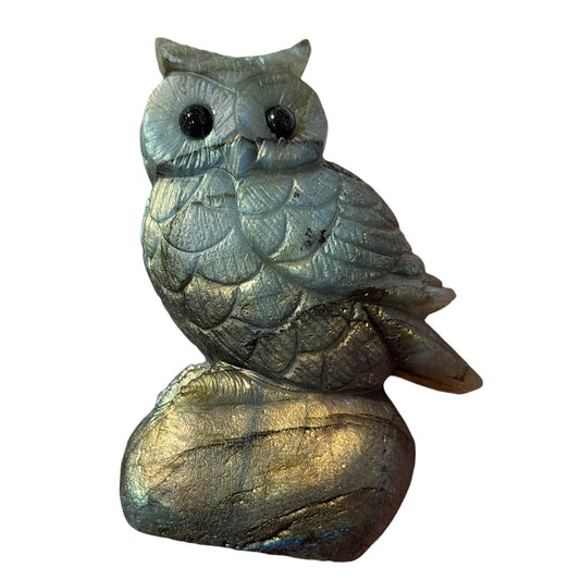 Figurine Hibou en Labradorite AA+ 8x6 cm (modèle unique nº8)