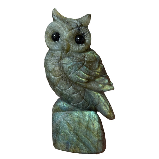 Figurine Hibou en Labradorite AA+ 8x4 cm (modèle unique nº9)