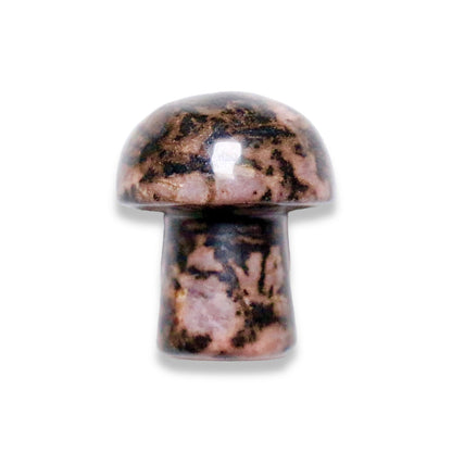 Champignon Rhodonite à l'unité