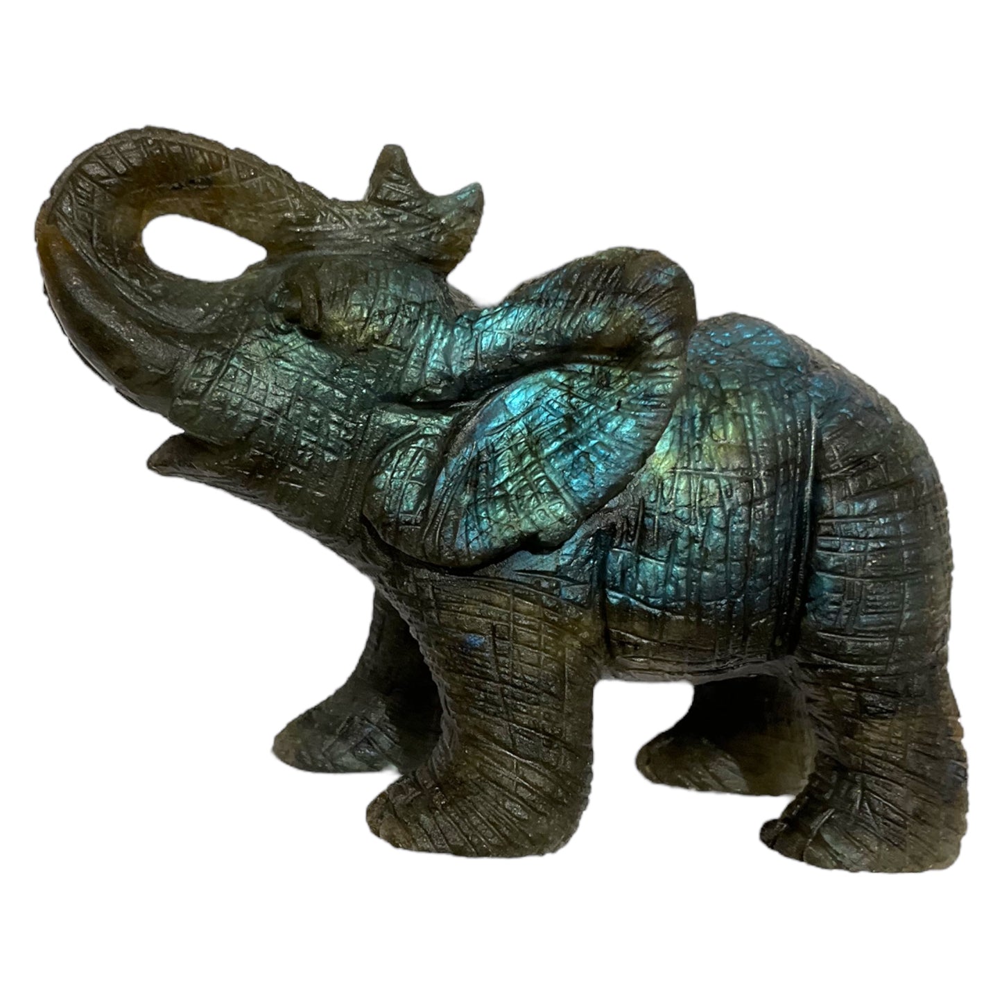 Elephant en Labradorite